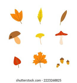 Ilustración vectorial de estilo dibujado a mano conjunto de elementos de naturaleza del bosque otoñal como ramas y ramas, setas, bellotas, bayas, hojas de arce, abedul, álamos. Esbozo de color aislado en blanco