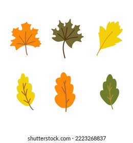 Hand drawn style vector illustration set of orange, green, yellow fall leaf maple and oak. Color sketch isolated on white