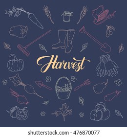 hand drawn style vector illustration with different gardening tools and vegetables. Poster or banner template.