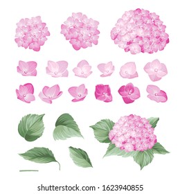 Hydrangea Tattoo High Res Stock Images Shutterstock