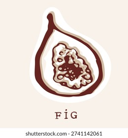 Hand drawn stylised fig fruit vector illustration motif. Black and white flat sticker style of plants of the bible, fruit and food picture design. Simple artwork for quirky f for figs doodle  