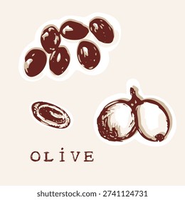 
Hand drawn stylised olive fruit set of vector illustration motif. Black and white flat sticker style of plants of the bible, fruit and food picture design. Simple artwork for quirky olives doodle  