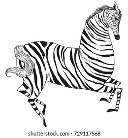 Hand drawn stylish zebra vector illustration, wildlife animal drawing