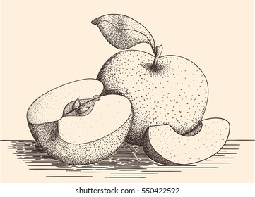 Hand drawn stylized apple with half and the slice of it