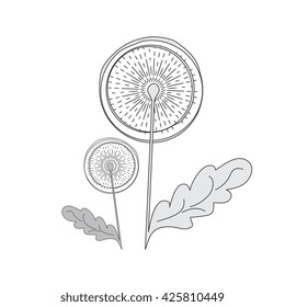 Hand drawn stylized dandelion