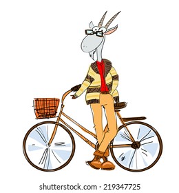 Hand drawn stylized goat dressed in a casual style with a bicycle