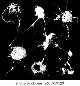 Hand drawn stylized grunge bird droppings set black and white. Flat blots set style vector illustration. (Can be used as texture for cards, invitations, DIY, web sites). Top drops set.