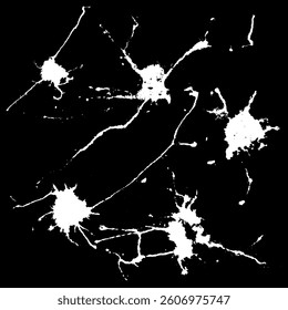 Hand drawn stylized grunge bird droppings set black and white. Flat blots set style vector illustration. (Can be used as texture for cards, invitations, DIY, web sites). Top drops set.