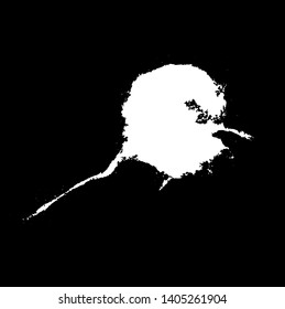 Hand drawn stylized grunge birds droppings black and white. Flat blots style vector illustration. Map. (Can be used as texture for cards, invitations, DIY, web sites)