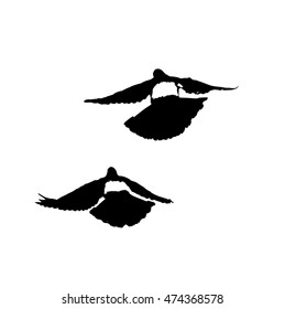 Hand drawn stylized grunge dove symbol black color. Flat birds style vector illustration. (Can be used as texture for cards, invitations, DIY projects, web sites or for any other design.)