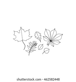 Hand drawn stylized leaves set pattern black color. Flat style vector illustration. (Can be used as texture for cards, invitations, DIY projects, web sites or for any other design.)