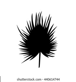 Hand drawn stylized old leaf palm black color. Leaf palm isolated icon. (Can be used as texture for cards, invitations, DIY projects, web sites or for any other design.)