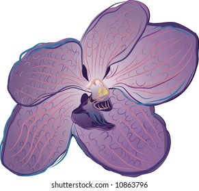 Hand drawn stylized Orchid.