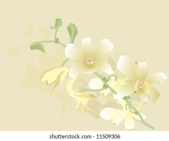 Hand drawn stylized Orchid.