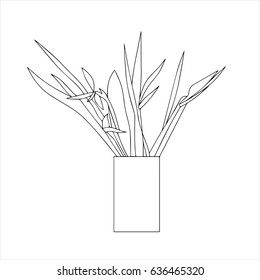 Hand drawn stylized outline flower in vase for design interior. Outline plant illustration. (Can be used as texture for cards, invitations, DIY projects, web sites or for any other design.)