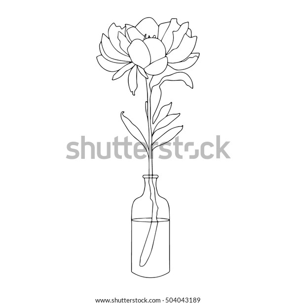 Hand Drawn Stylized Outline Flower Vase Stock Vector Royalty Free