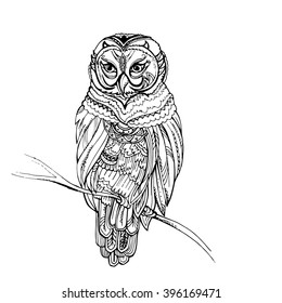 Hand drawn stylized owl. Vector art