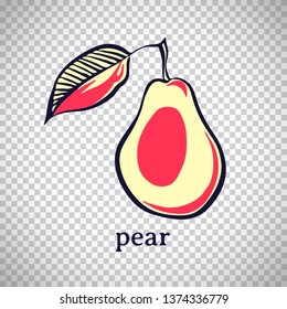 Hand drawn stylized pear. Vector fruit isolated on transparent background. Graphic illustration for logo or icon.