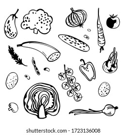 Hand drawn stylized vegetables. Sketch  illustration.  