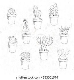 Hand drawn succulent and cactuse set. Doodle florals in pots. Vector illustration.