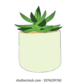 Hand drawn succulent flower in the pot. Vector illustration.