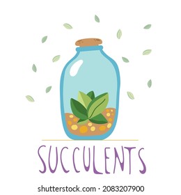 Hand drawn succulent in a glass bottle with dirt in it, doodle style, isolated on a white background. Vector illustration