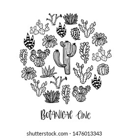 Hand drawn succulent ornament. Ink illustration. Vector illustration of vignette with cactus on white background.Round  set of cactus . Cute hand drawn vector cactus.