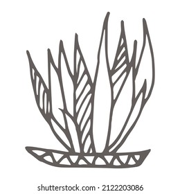 
Hand drawn  succulent outline icon in doodle style. Vector liner illustration for print, web, mobile and infographics isolated on white background.  