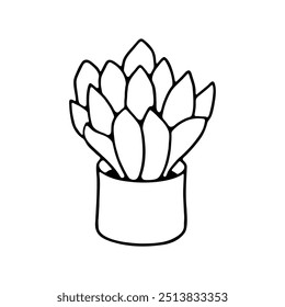 hand drawn succulent plant inside a pot, featuring clean and minimalistic lines