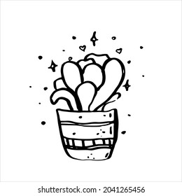 hand drawn succulent plant isolate on white background