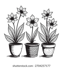  Hand Drawn Succulent Pot Linework