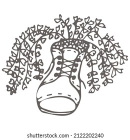 
Hand drawn  succulent  in a shoe. Outline icon in doodle style. Vector liner illustration for print, web, mobile and infographics isolated on white background.  