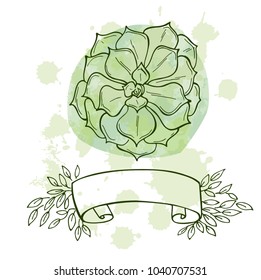 Hand drawn succulent with space for text on green watercolor background. Flowers in the desert. Vector illustration. Perfect for banner, invitation, greeting card, print.