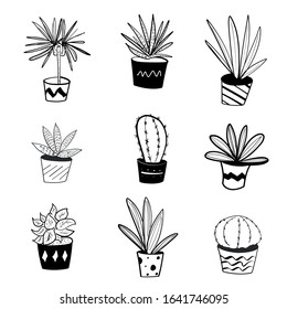 Hand drawn succulents and cactus vector illustration set. Home gardening, house plants, Indoor greenery illustration collection with plants in pot. Aloe vera, snake plant, gardenia, palm