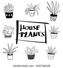 Hand drawn succulents and cactus vector illustration set. Home gardening, house plants, Indoor greenery illustration collection with plants in pot. House plants text lettering with brush style font.