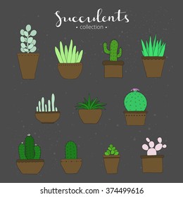 Hand drawn succulents and cactuses isolated on the blackboard. Exotic mexican houseplants.