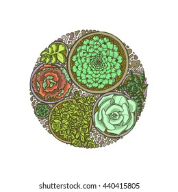 Hand drawn succulents composed in circle shape. Exotic houseplants. 