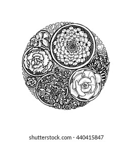 Hand drawn succulents composed in circle shape. Exotic houseplants. Doodle outline succulents in circle.