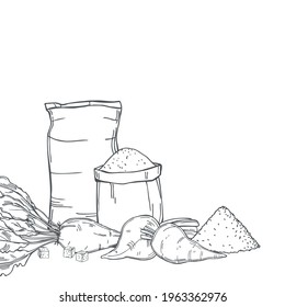 Hand drawn sugar beet and sack bags of sugar . Vector background. Sketch  illustration.