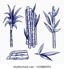 Hand Drawn Sugar Cane Set Vector Illustration. Cane Plant, Sugar Ingredient Stem, Sugarcane Harvest Stalk