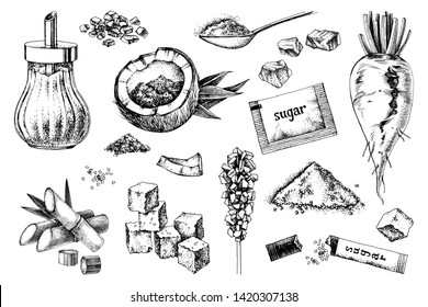 Hand Drawn Sugar Icons Set Isolated On White Background. Vector Illustration