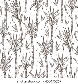 Hand Drawn Sugarcane Plants Vector Seamless Pattern. Sugar cane stalks with leaves endless background.