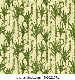 Hand Drawn Sugarcane Plants Vector Seamless Pattern. Sugar cane stalks with leaves endless background