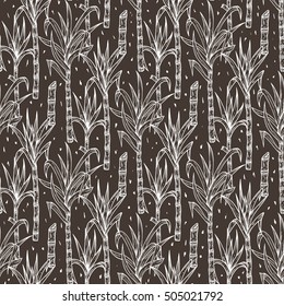 Hand Drawn Sugarcane Plants Vector Seamless Pattern. Sugar cane stalks with leaves endless background