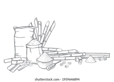 Hand drawn sugarcane  and sack bags of sugar. Vector background. Sketch  illustration.