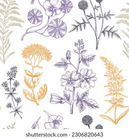 Handgezeichneter Sommerhintergrund. Gartenblütenpflanzen entwerfen im Skizzenstil. Nahtloses Muster ohne Blumen. Botanische Illustrationen für Textilien, Gewebe, Verpackungen. Hibiscus, Sedum, Mallow, Primas.
