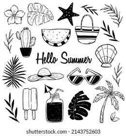 hand drawn summer elements with tropical leaves, watermelon, coconut tree, juice, ice cream and sunglasses. best for banner or poster elements