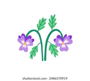 Hand drawn summer flower. Garden, flower garden, plants. Vector illustration in flat style.