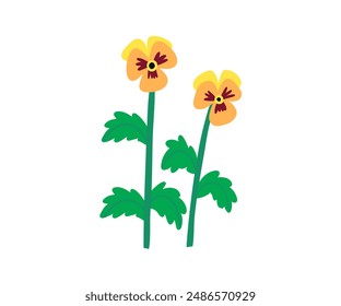 Hand drawn summer flower. Garden, flower garden, plants. Vector illustration in flat style.