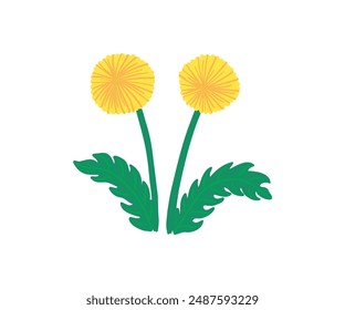 Hand drawn summer flower. Garden, flower garden, plants. Vector illustration in flat style.